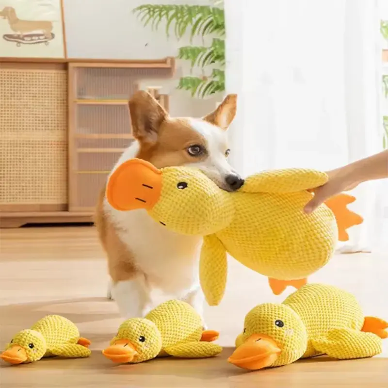 Toy Ducky