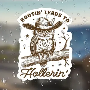 Owl Sarcasm Stickers for Cars Laptops Refrigerators Suitcases Plastic Surfaces, Funny Car Decals Laptop Accessories, Unique Gift Idea