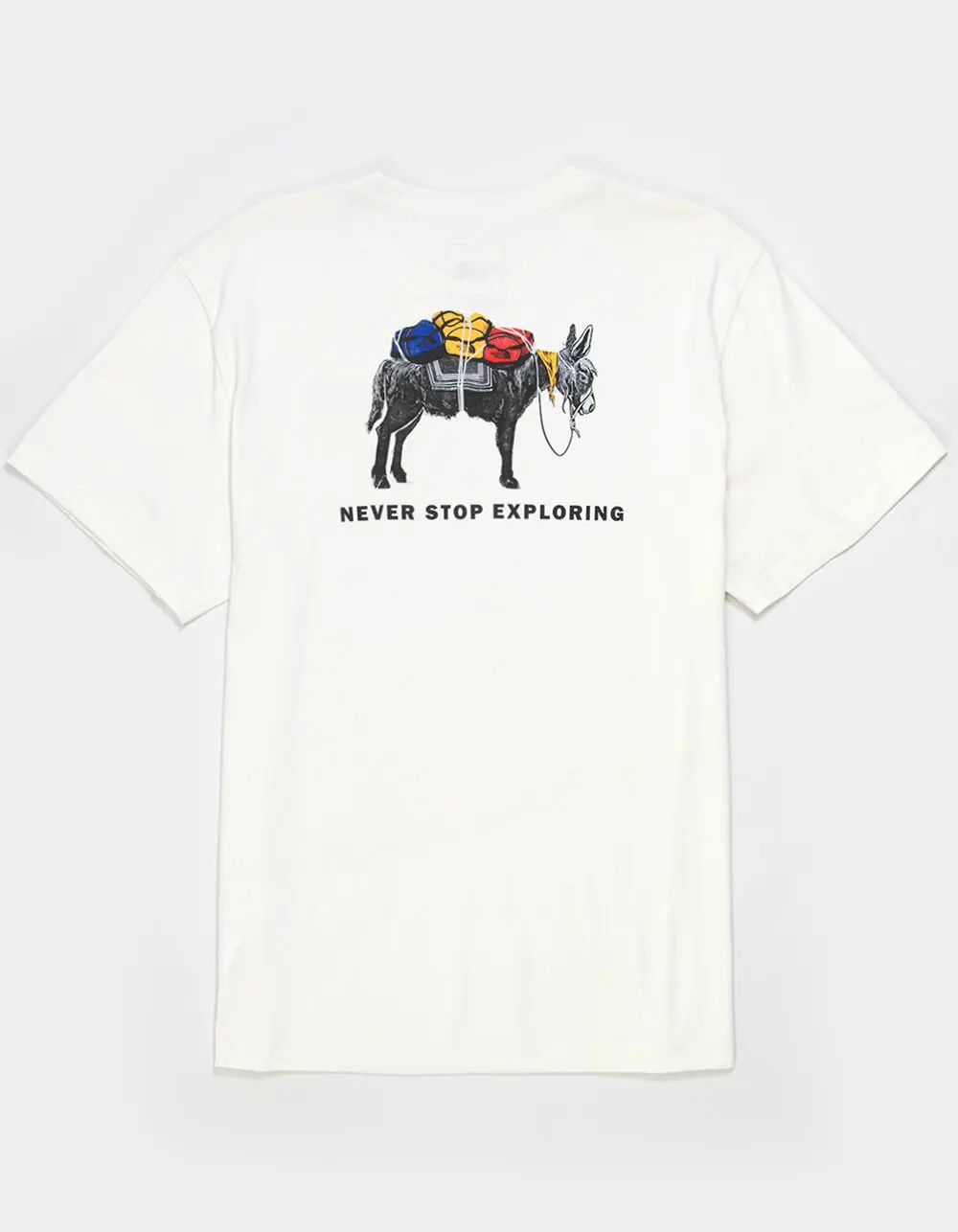 THE NORTH FACE Evolution Pack Mens Tee