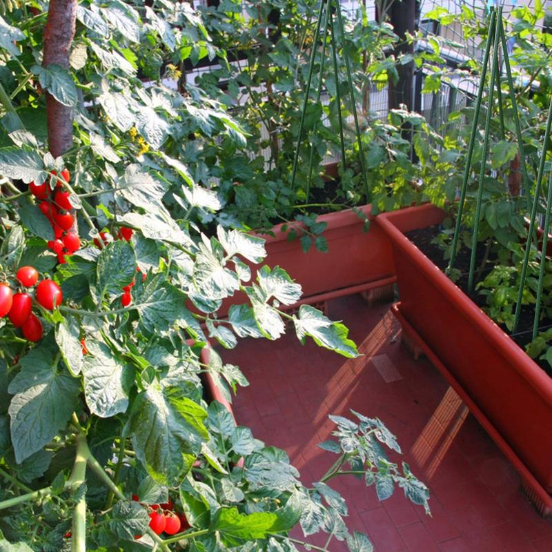 SUNNYGLADE 48" Plant Stakes Garden Tomato Sticks Durable Metal & Green Plastic Coated Supports for Potted Plants with Non-Slip Bump Design & Sharp Points for Easy Placement