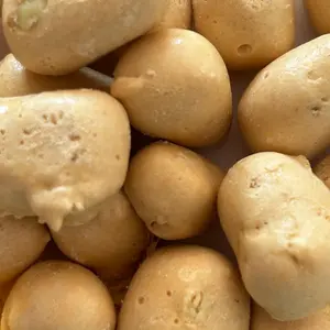 Freeze Dried Honey Bits