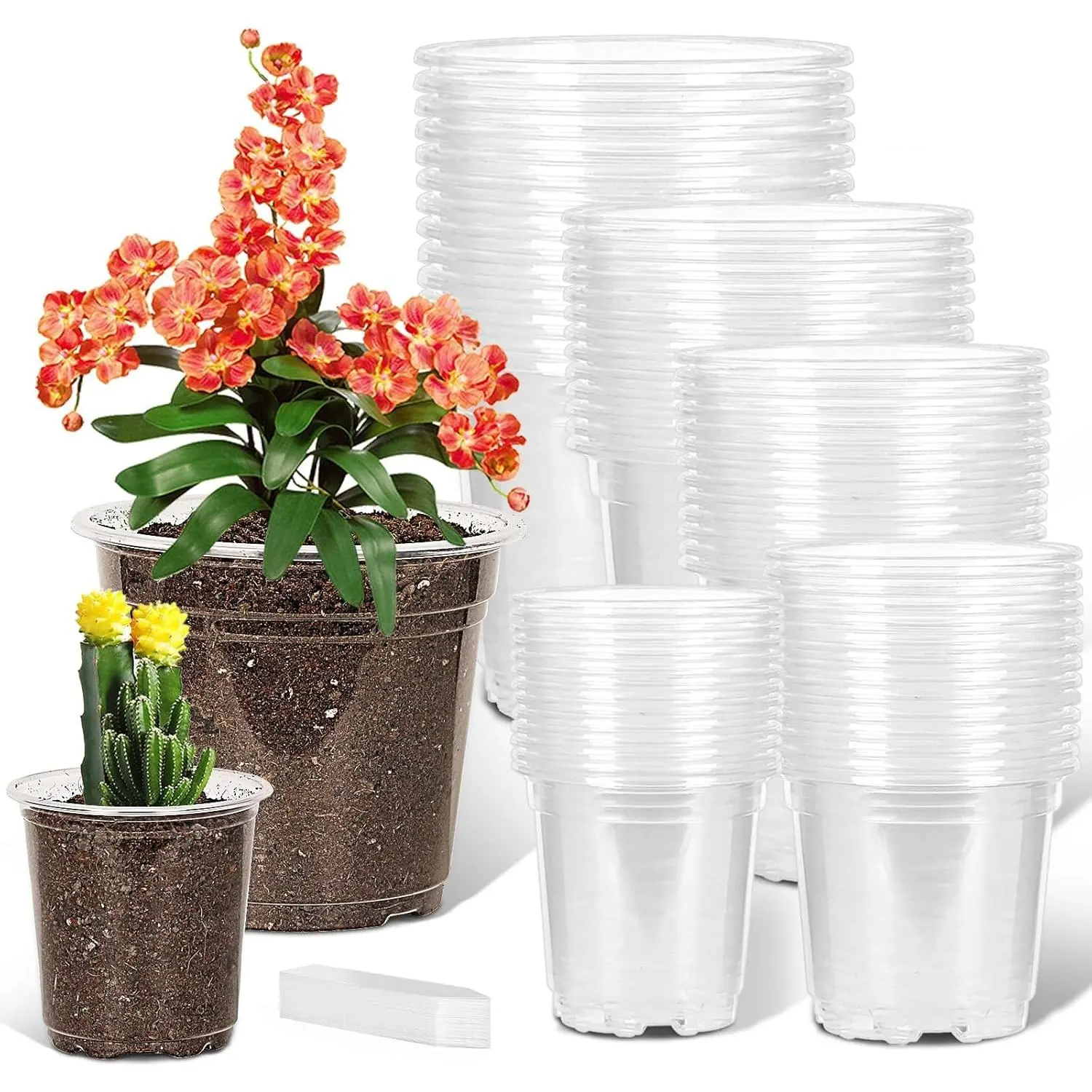60 Pack 3.5/4/5/6/7 Inch Clear  Pots with Drainage Hole,Variety Sizes Seed Starting Pots Transparent Plastic  Pots for  Transparency with 50  Labels