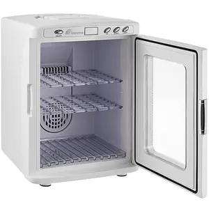 VEVOR Reptile Incubator, 25L Scientific Lab Incubator, Cooling and Heating 5 ° C to 42 ° C Automatic Incubator, 12V/110V White Reptile Egg Breeding Hatchery Work for Thermostats Snakes and Turtles