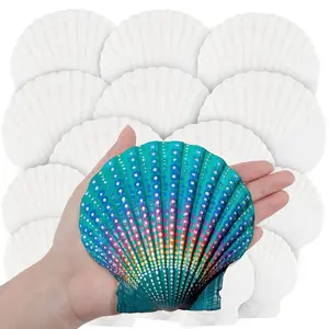 18 count White Large  Purely  Seashells 4-5in and Medium Shells 2-3in for Crafting,  Shells Bulk for Beach Wedding Decorations,  Seashell Party Decorations, Cooking or Painting