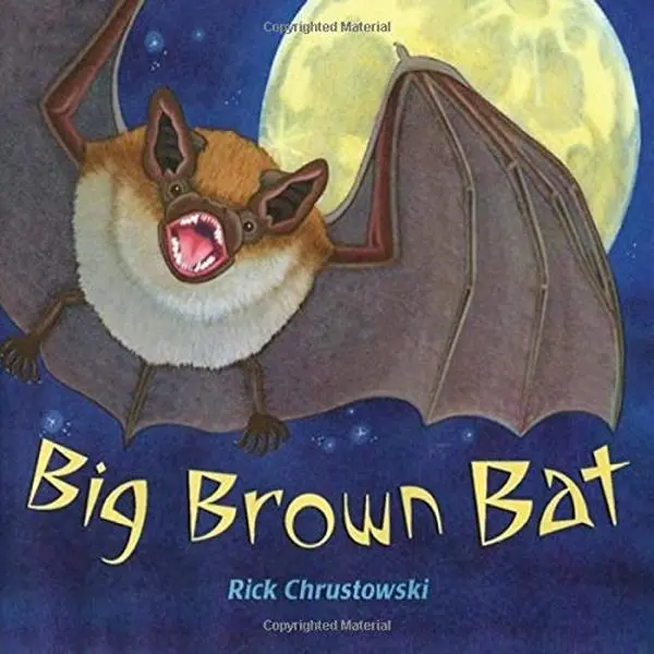 USED Book - Big Brown Bat by Rick Chrustowski (Paperback) - english