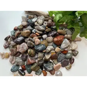 Polished Great Lakes Stones (1lb), Assorted Polished Rocks, Lake Michigan rocks
