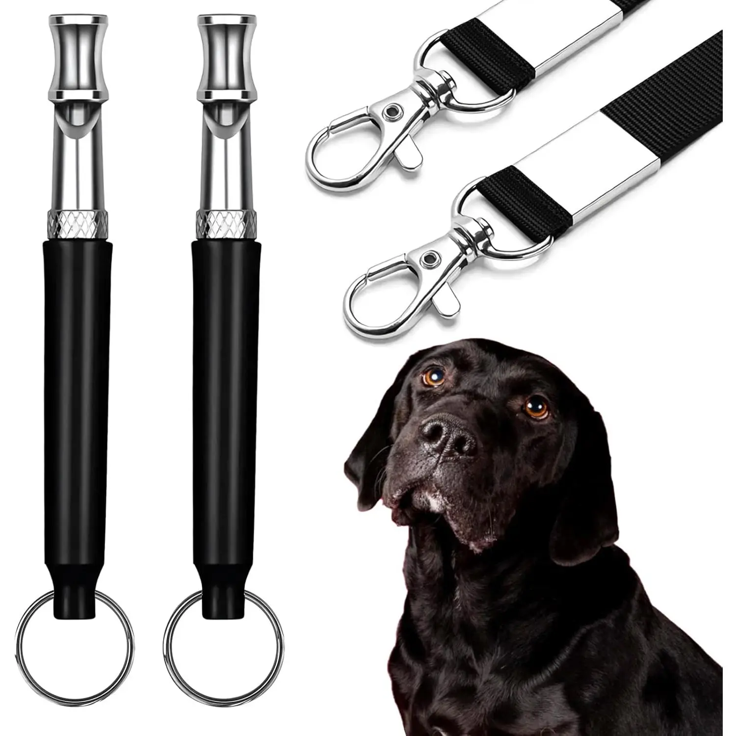 Dog Whistle 2-Pack - Ultrasonic Bark Control & Recall Training, Adjustable Silent Whistle with Lanyard for Neighbor’s Dog & Your Own Training