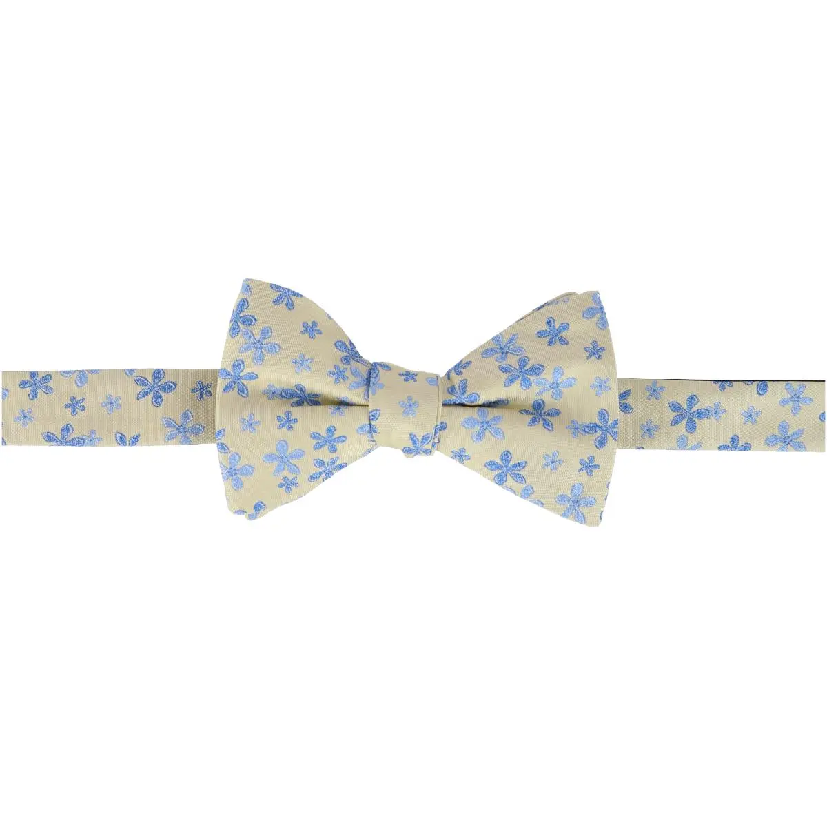 Trafalgar Weldon Floral Silk Novelty Bow Tie, Bow Ties