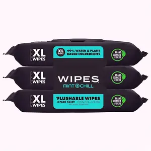 Flushable Wipes, 3 Packs 144 Wipes, Extra Large Septic Safe Wet Toilet Tissue with Mint Chill for Daily Personal Care and Bathroom Use