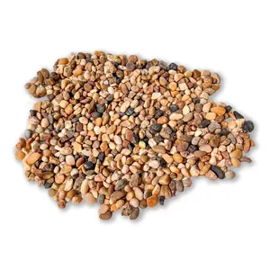 Mix Rock Stones: Natural Indoor and Outdoor Decor, Mixed Color Pebbles