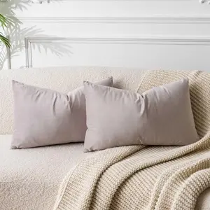 Throw Pillow Covers Set of 2 Decorative Velvet Pillow Covers for Couch Sofa Bed Soft Lumbar Cushion Covers with Invisible Zipper for Living Room Decor,Champagne,12x20 inch