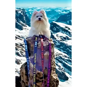 I AM BRAVE Totem Pride Leash & Collar Set