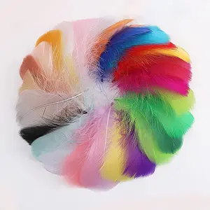 600pcs Colorful Feathers 20 Colors Craft Feathers 3-5 Inches Assorted Rainbow Colors Feathers for Kids Handmade Wedding DIY Decorations Natural Feather
