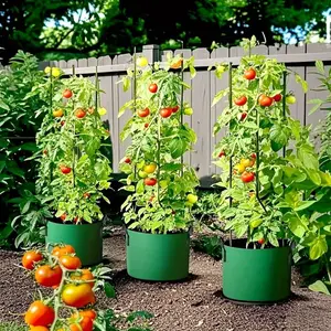 2pcs Large Capacity Heavy-Duty Planting Bags with Handles, Portable & Lightweight, Non-Woven Fabric Plant Pots for Indoor/outdoor Use