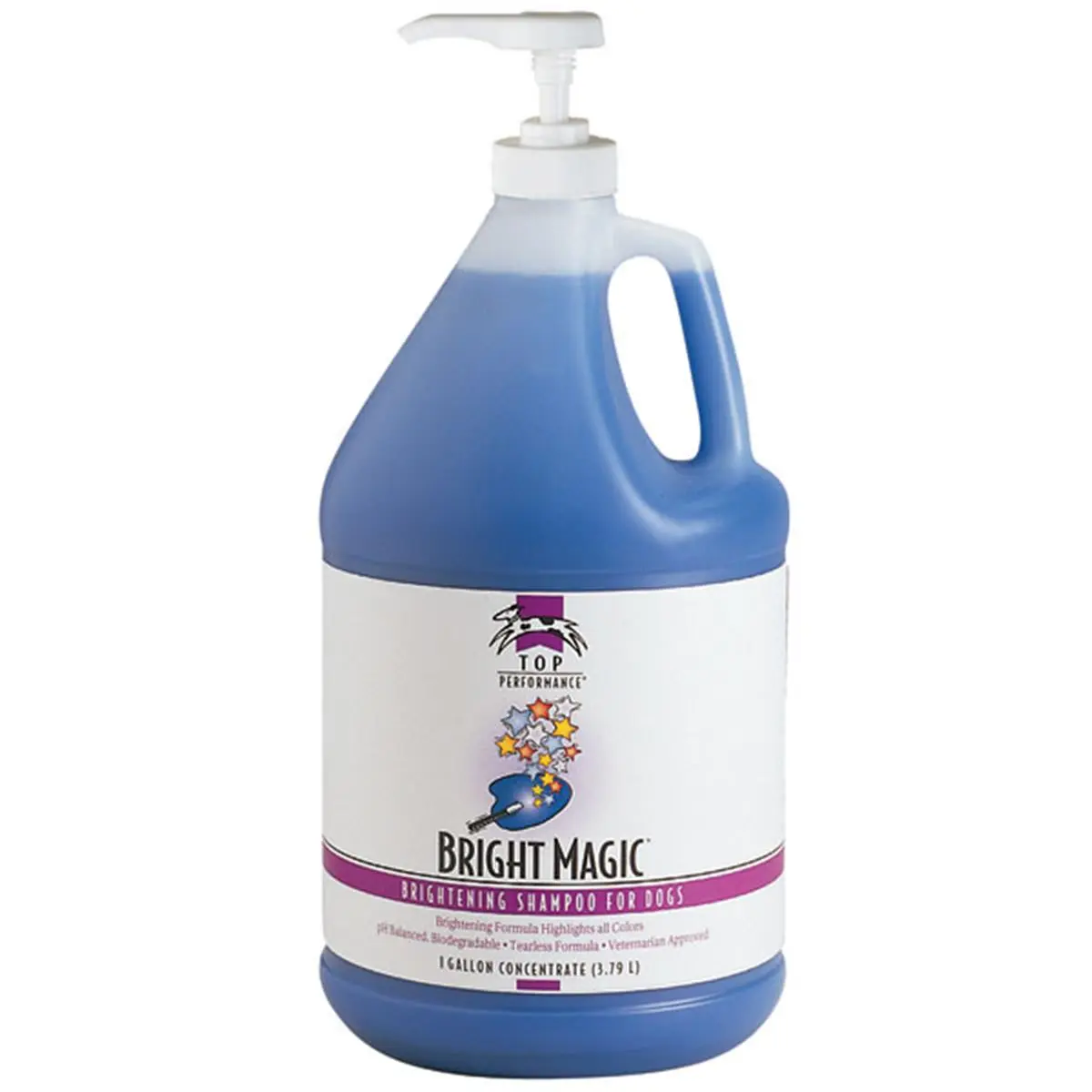 Top Performance Gallon Pump
