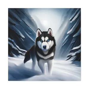 36x36 black and white husky Canvas Gallery Wraps