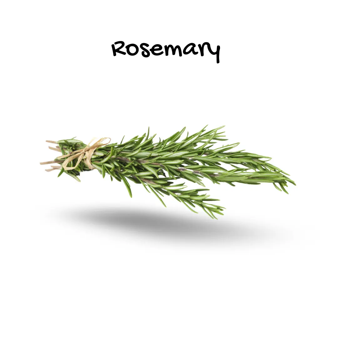 Rosemary