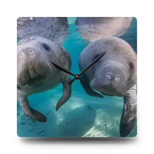 Manatees Underwater Acrylic Wall Clock | Sea Life, Marine Animals