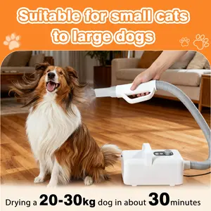 High-Velocity Pet Dryer | 1550W Heater & 4 Nozzles | Low Noise & 6.5ft Hose for Professional Grooming #PetGrooming #DogDryer