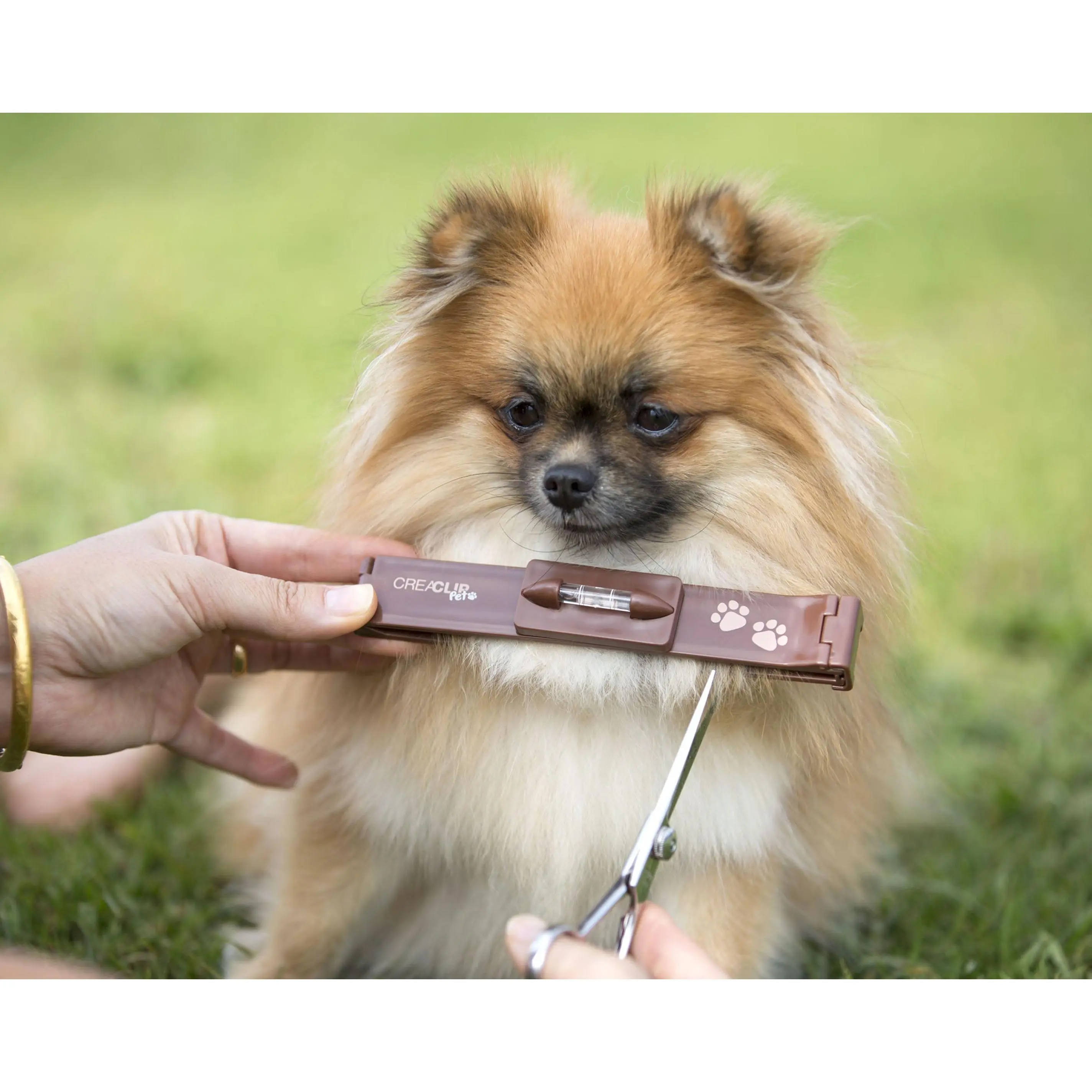 Original CreaClip Pet