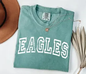 Comfort Colors Eagles Game Day Shirt, Retro Football Graphic Tee, Touchdown Season Top, Sports Fan Shirt, Unisex Gift Tee
