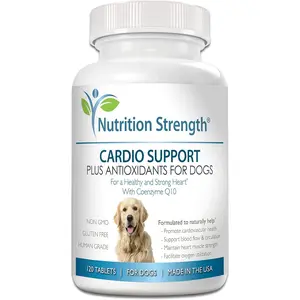 Cardio Support for Dogs Plus Antioxidant, L-Carnitine, L-Taurine, with Coenzyme Q10 and Vitamin E, Promotes a Healthy and Strong Dog Heart, 120 Chewable Tablets
