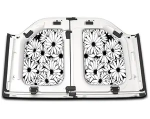 Daisies