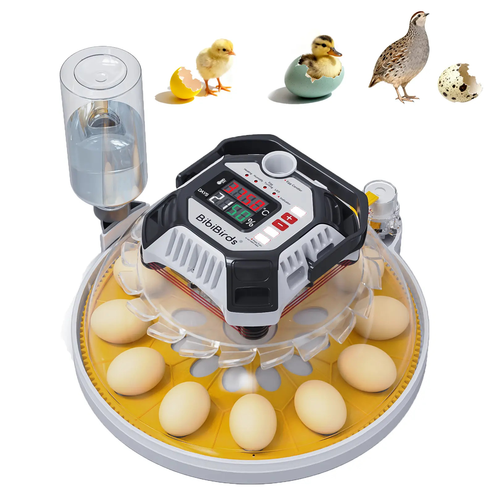 Automatic Egg Incubator with Automatic Egg Turning, Day Counter, Humidity Temperature Fully Control, Smart Incubator, 360° View, LED Display, Auto Water Filling, Hatching Eggs Chicken Quail Birds In Cheap Price, Incubate At Home Backyard