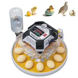 Egg Incubator with Automatic Egg Turning, Humidity Temperature Control, Smart Humidifier, 360° Observation View, LED Display, Auto Water Adding, Hatching Eggs, MS12 Handle