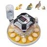 Automatic Egg Incubator with Automatic Egg Turning, Day Counter, Humidity Temperature Fully Control, Smart Incubator, 360° View, LED Display, Auto Water Filling, Hatching Eggs Chicken Quail Birds In Cheap Price, Incubate At Home Backyard