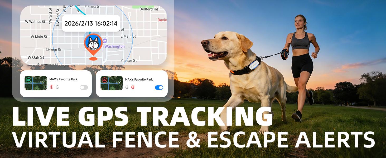 DBDD AI GPS Tracker for Dogs (30lbs+), Real Time Location and AI Health Assistant, Electronic Fence, Waterproof, iOS and Android Universal Cat