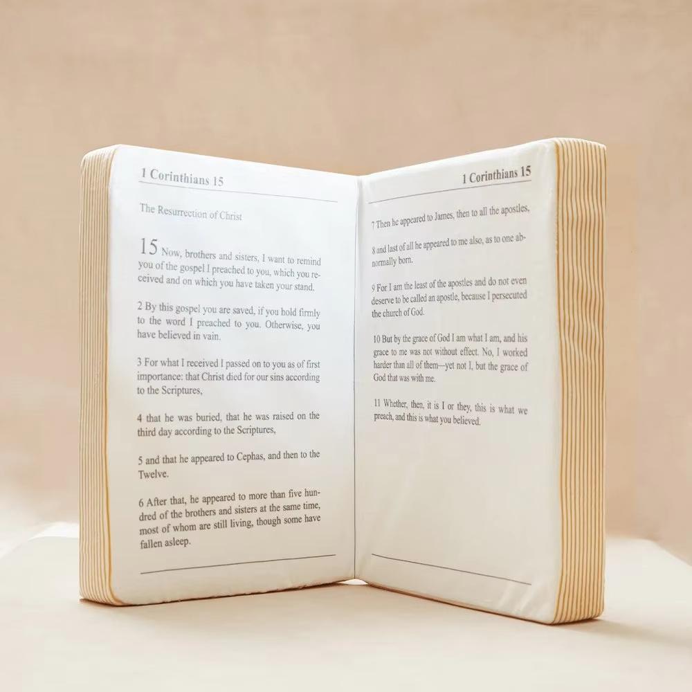 Cuddle Up with Faith: The Huggable Red Bible Pillow for Kids 3