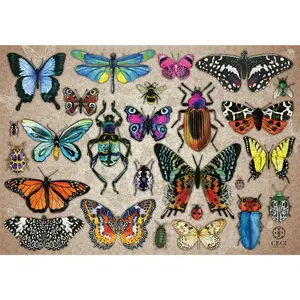 Intricate Insects by Ceci New York