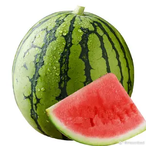 Premium Watermelon Seeds 50 Non GMO Heirloom Variety for Home and Farm Gardens Sweet and Refreshing Fruits