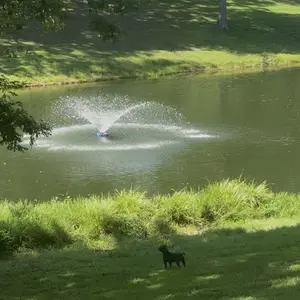 1HP 110V 750W 15000 GPH Floating Pond Fountain Aerator Pump, 100FT Power Cord, 2x100FT Ropes, PVC Float, Steel-Plastic Build, Fully Automatic for Larger Ponds/Lakes, Linear-V-Shape Water Circulation Pump