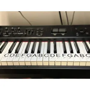U-KEYS® - with Accessible Braille and Raise Tactile letter Easy to learn music overlay cover 15 white key Fit on a Casio tone Gift for blind