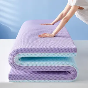 0-Sense Pressure-Resistant Gel Memory Foam Mattress Removable Washable Three-Dimensional Student Bedroom Anti-Sagging Tatami Soft Cushion 9CM