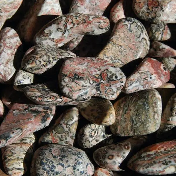 Pink Leopard Skin Jasper Tumbled Stones, Medium
