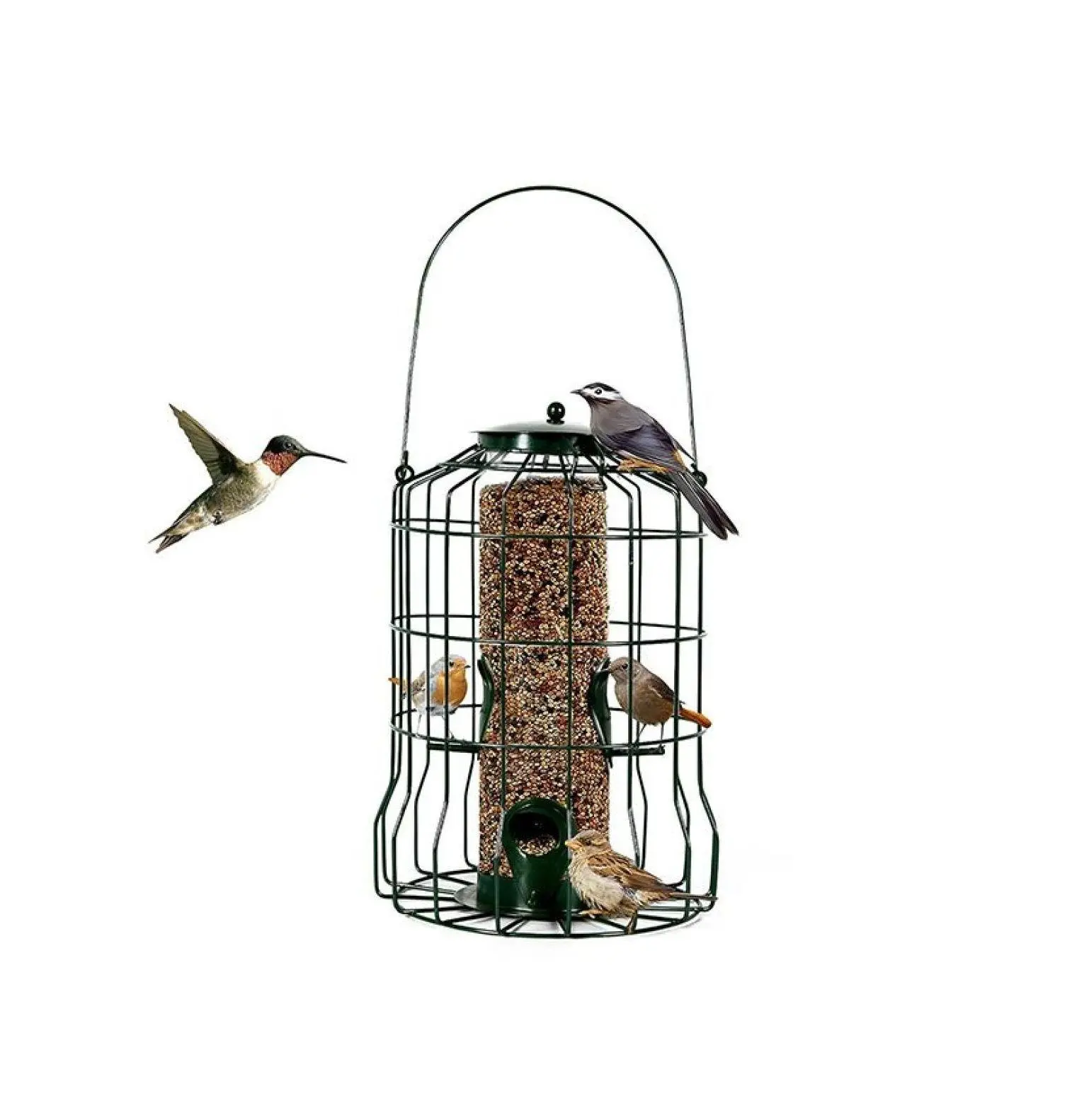 Squirrel Proof Feeder - Metal Caged Wild Feeder for Outdoors