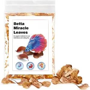 50 pcs Catappa Indian Almond Leaves for Betta Fish Tank Aquarium, 2" Water Conditioner Leaves, Leaf Also Suitable for Shrimp, Goldfish, Guppy and Frogs