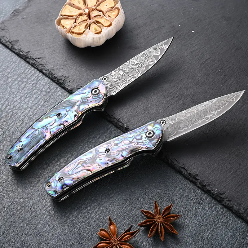 Compact Pocket Knife - Multi-Functional Sharp Chef-Style EDC Tool, Portable Folding Kitchen Knife, Luxury Gift for Men Ideal for Cooking, Camping, Daily Carry, Pocket Knives