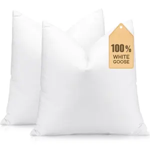 Set of 2 Down and  Throw Pillow Inserts 28x28 Soft Fluffy Pillow Inserts with  Down-Proof Cotton Cover, Decorative Square Cushion Inner for Sofa Couch Bed-White