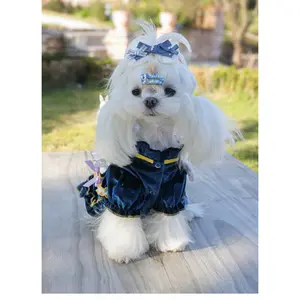 High-End Pet Clothes for Maltese Puppies, Lolita Style Full-Length Dog Dress, Warm Autumn Winter Dog Apparel