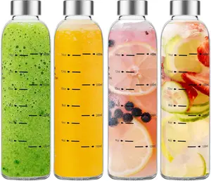 Reusable Glass Water Bottle 17 oz – Leakproof Juice Bottle with Stainless Steel Lid, BPA-Free Clear Drinking Bottle for Refrigerator, Smoothies & Beverages