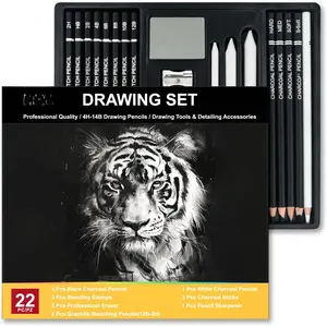 Charcoal Pencils for Drawing, Set of 22, Professional Drawing Sketch Pencils, Art Supplies for Sketching, Shading, Artist Charcoal Supplies for Beginners & Pro Artists.