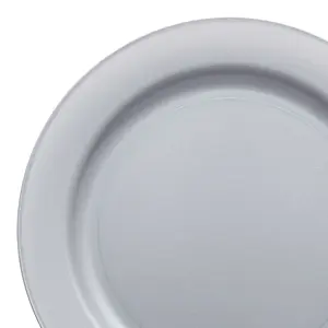 Matte Steel Gray Round Disposable Plastic Dinner Plates (10")