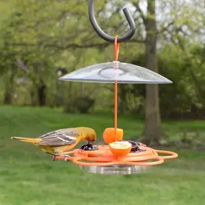 Multi-Station Oriole Feeding Center with Ant Moat & Weather Baffle, Metal & Plastic Wild Bird Feeder, 12 oz Nectar Capacity, Orange