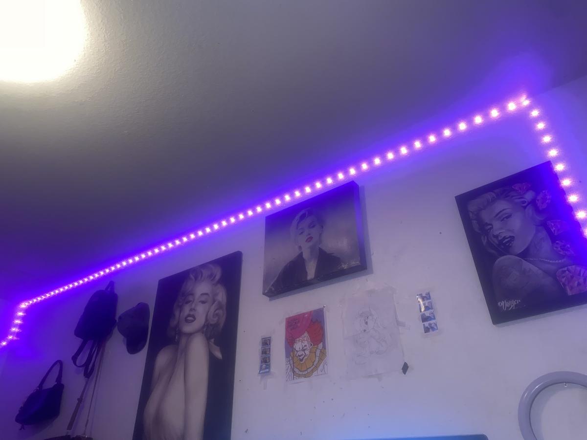 Item: LED Strip Light 50 Feet LED Lights