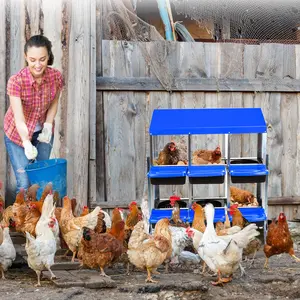 Roll Away Metal Chicken Nesting Box,10 Compartments, Removable Lid, Ventilated, Easy Egg Collection & Cleaning, Galvanized Hen Roosting Box for Poultry Care