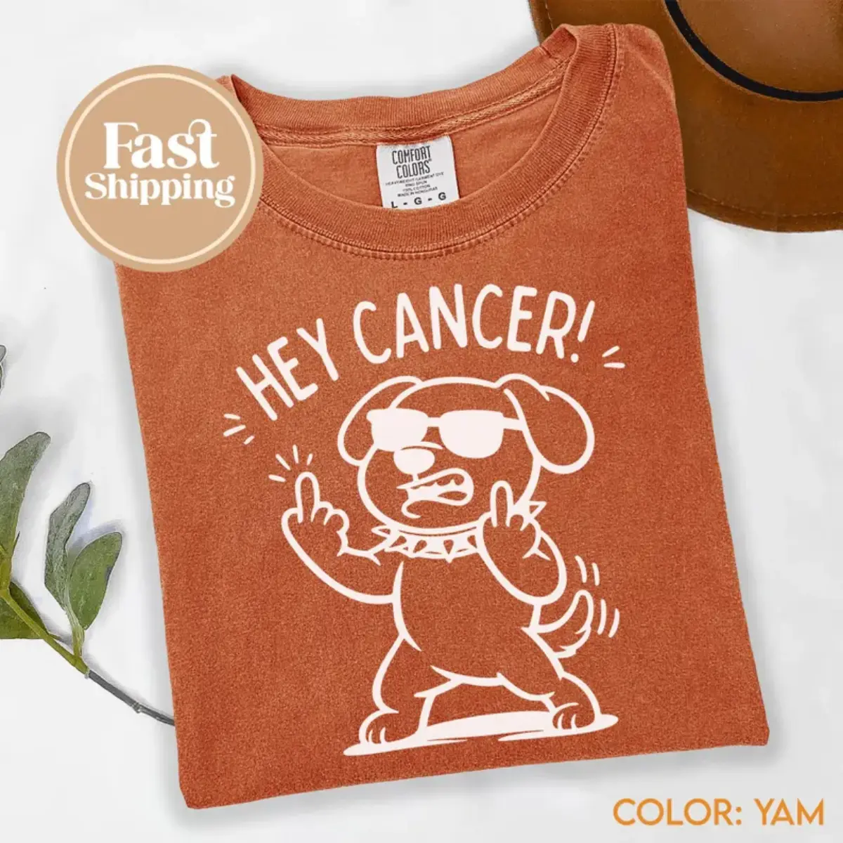 Comfort Colors Shirt Hey Cancer Funny Dog Fighter Graphic Tee Vintage Retro Oversized Fit Heavyweight Garment Dyed Cancer Awareness Tee for Men Women